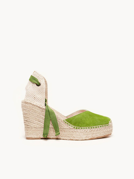 Romero Cuña 10 cm Ante Verde
