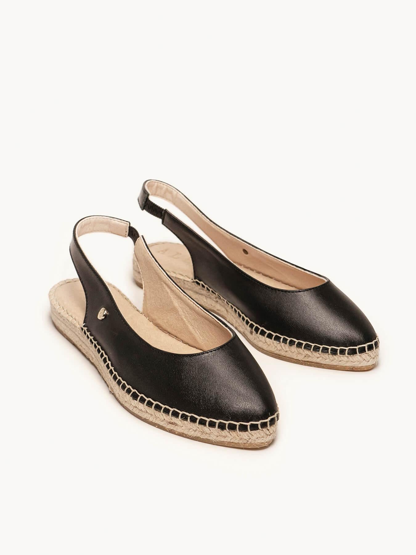 Camelia Cuña Napa Negro