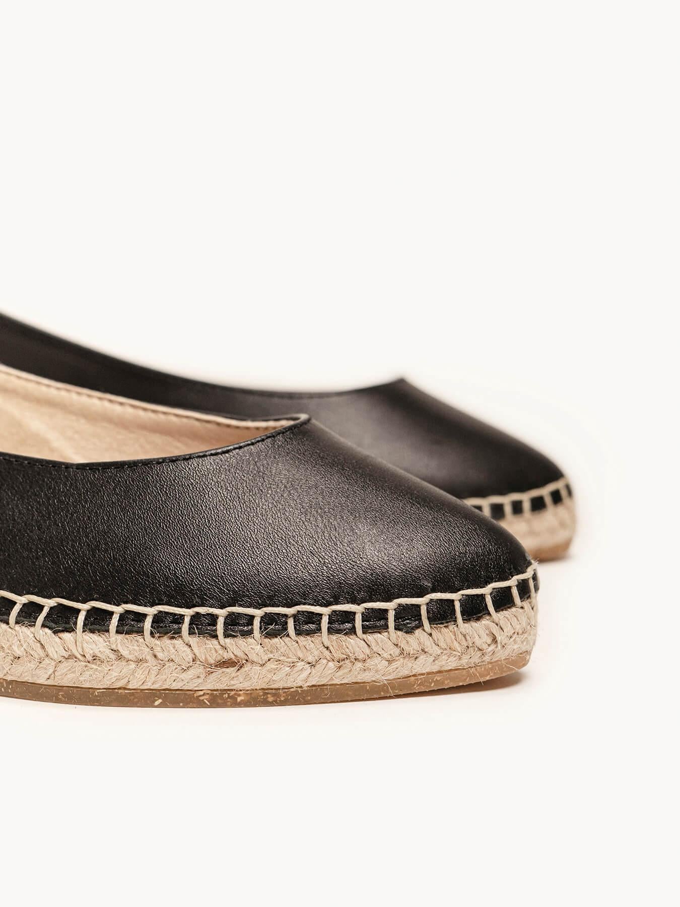 Camelia Cuña Napa Negro