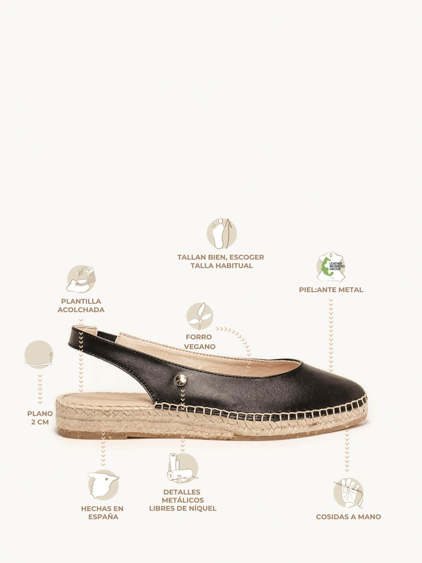 Camelia Cuña Napa Negro